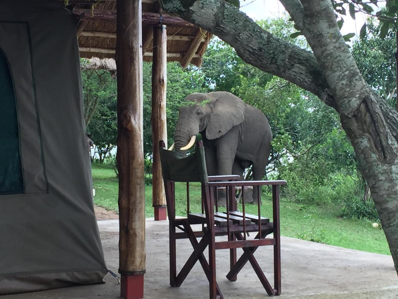 Queen Elizabeth Bush Lodge By Nature Lodges Ltd Katunguru Zewnętrze zdjęcie